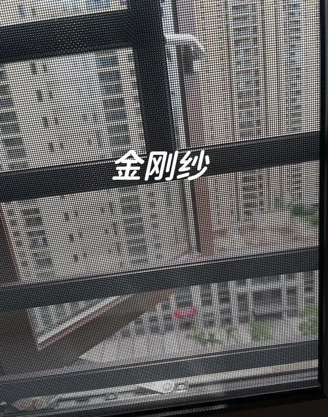 20240514_160742_017.jpg 20240514_160742_017.jpg