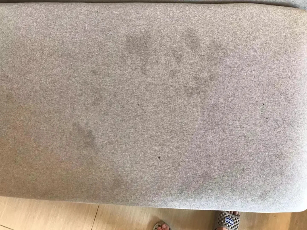 20240627_144003_007.jpg 20240627_144003_007.jpg