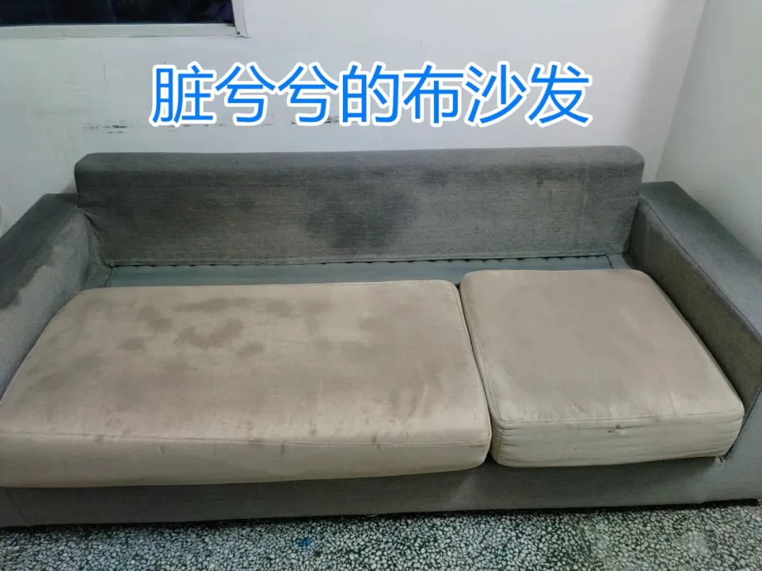 20240627_144003_008.jpg 20240627_144003_008.jpg